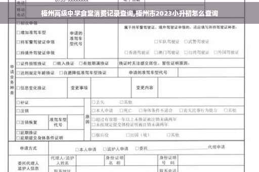 梧州高级中学食堂消费记录查询,梧州市2023小升初怎么查询