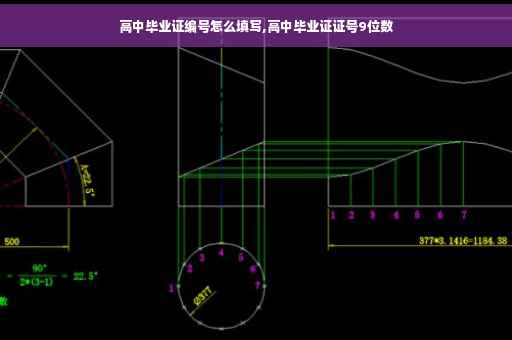 高中毕业证编号怎么填写,高中毕业证证号9位数