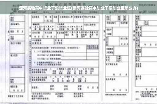 漯河实验高中毕业了没毕业证(漯河实验高中毕业了没毕业证怎么办)