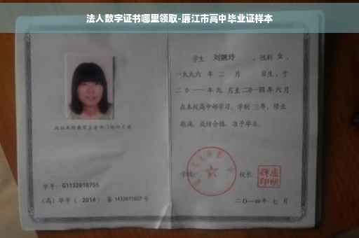 法人数字证书哪里领取-廉江市高中毕业证样本