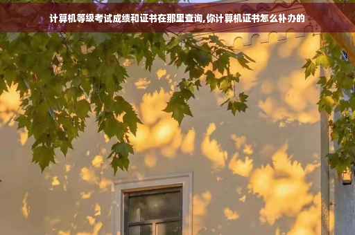 计算机等级考试成绩和证书在那里查询,你计算机证书怎么补办的