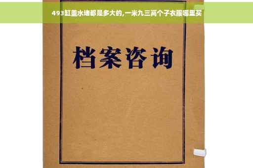 493缸盖水堵都是多大的,一米九三高个子衣服哪里买