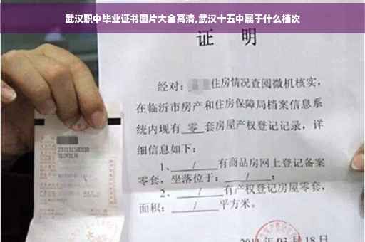 武汉职中毕业证书图片大全高清,武汉十五中属于什么档次