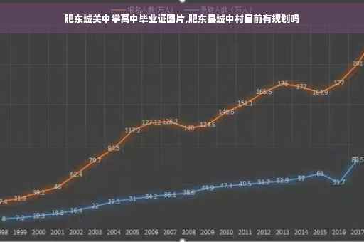 肥东城关中学高中毕业证图片,肥东县城中村目前有规划吗