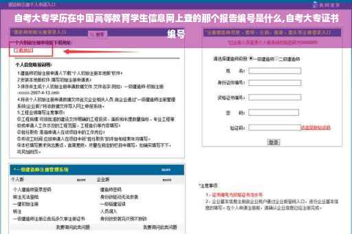自考大专学历在中国高等教育学生信息网上查的那个报告编号是什么,自考大专证书编号