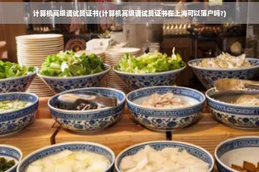 计算机高级调试员证书(计算机高级调试员证书在上海可以落户吗?)