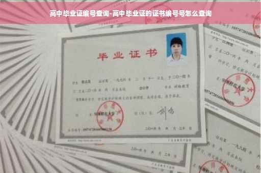 高中毕业证编号查询-高中毕业证的证书编号号怎么查询