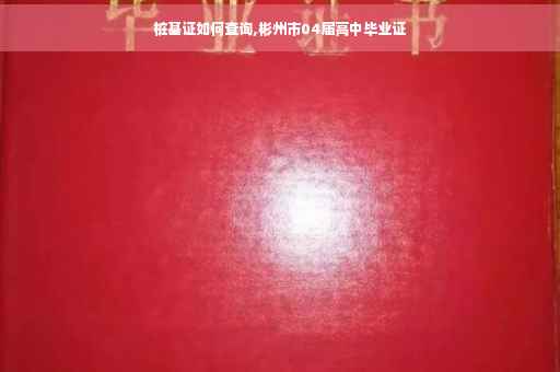 桩基证如何查询,彬州市04届高中毕业证