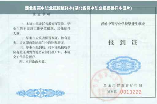 湖北省高中毕业证模板样本(湖北省高中毕业证模板样本图片)