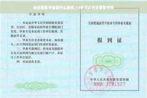 去法国留学需要什么条件,13岁可以去法国留学吗