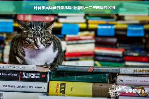 计算机高级证书是几级-计算机一二三四级的区别