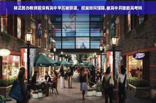 转正民办教师因没有高中学历被辞退，权益如何保障,被高中开除能高考吗