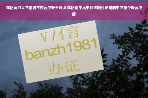 沈阳师范大学附属学校高中好不好,5 沈阳翔宇高中和沈阳师范附属中学哪个好高中部