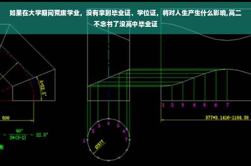 如果在大学期间荒废学业，没有拿到毕业证、学位证，将对人生产生什么影响,高二不念书了没高中毕业证
