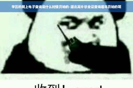 学历的网上电子查询是什么时候开始的-湖北高中毕业证查询哪年开始的呢