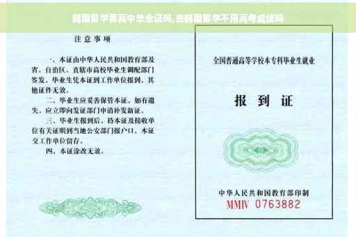 韩国留学要高中毕业证吗,去韩国留学不用高考成绩吗