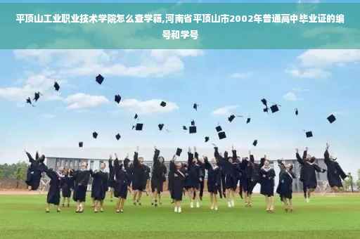 平顶山工业职业技术学院怎么查学籍,河南省平顶山市2002年普通高中毕业证的编号和学号