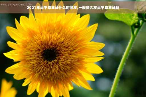 2021年高中毕业证什么时候发,一般多久发高中毕业证啊