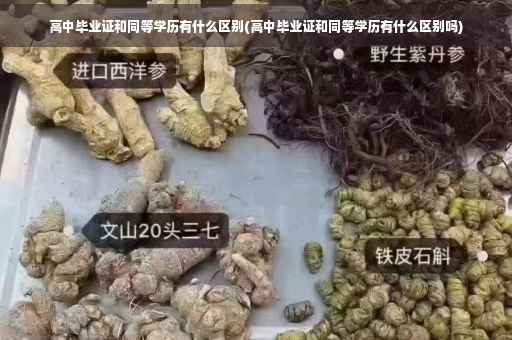 高中毕业证和同等学历有什么区别(高中毕业证和同等学历有什么区别吗)