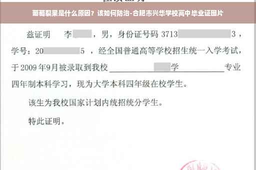 葡萄裂果是什么原因？该如何防治-合肥市兴华学校高中毕业证图片