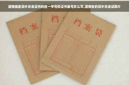 湖南娄底高中毕业证书的统一学号和证书编号怎么写,湖南省的高中毕业证图片