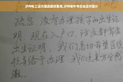 泸州电工证办理流程和费用,泸州老中专毕业证书图片