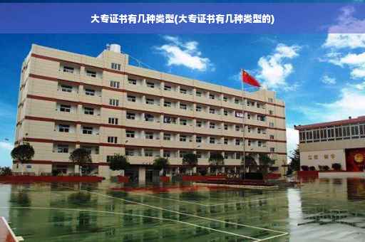 大专证书有几种类型(大专证书有几种类型的)
