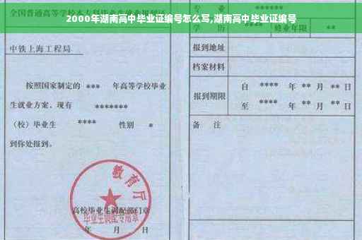 2000年湖南高中毕业证编号怎么写,湖南高中毕业证编号
