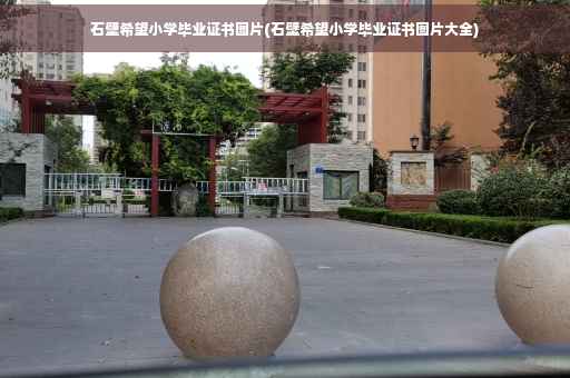 石壁希望小学毕业证书图片(石壁希望小学毕业证书图片大全)