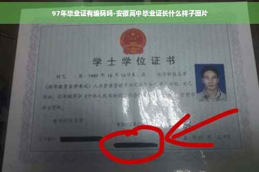 97年毕业证有编码吗-安徽高中毕业证长什么样子图片