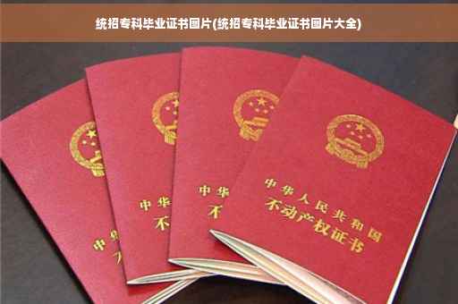 统招专科毕业证书图片(统招专科毕业证书图片大全)