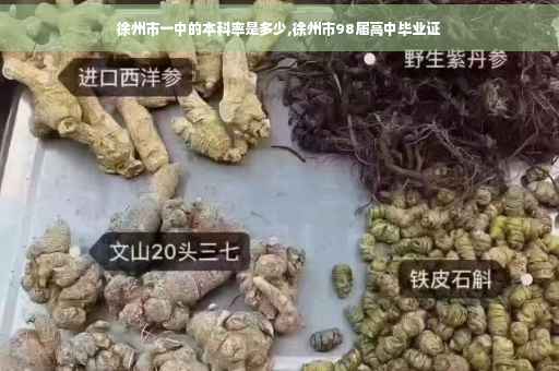 徐州市一中的本科率是多少,徐州市98届高中毕业证