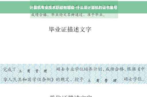 计算机专业技术职称有哪些-什么是计算机的证书编号