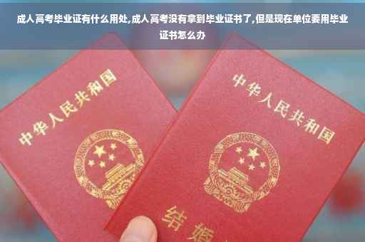 成人高考毕业证有什么用处,成人高考没有拿到毕业证书了,但是现在单位要用毕业证书怎么办