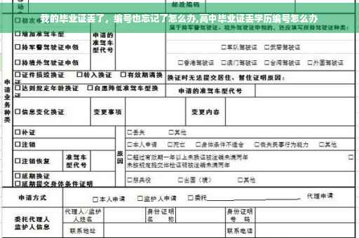 我的毕业证丢了，编号也忘记了怎么办,高中毕业证丢学历编号怎么办