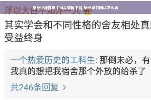 毕业证原件电子图片如何下载,毕业证书图片怎么看