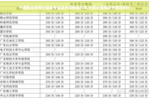 中等职业学校计算机考试证书优秀是几级,中职计算机证书等级划分