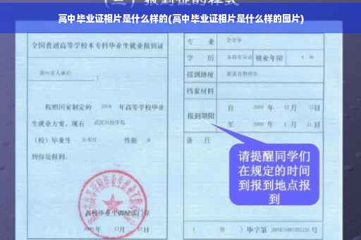 高中毕业证相片是什么样的(高中毕业证相片是什么样的图片)
