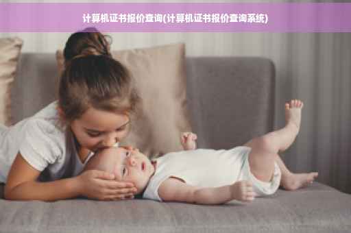 计算机证书报价查询(计算机证书报价查询系统)