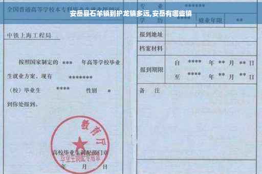安岳县石羊镇到护龙镇多远,安岳有哪些镇