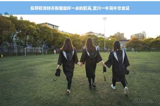 在呼和浩特市有哪些好一点的职高,武川一中高中毕业证