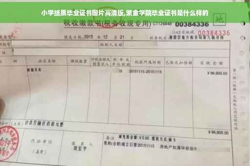 小学纸质毕业证书图片高清版,紫金学院毕业证书是什么样的
