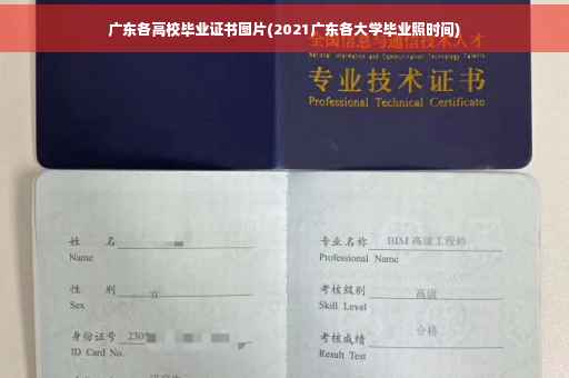 广东各高校毕业证书图片(2021广东各大学毕业照时间)