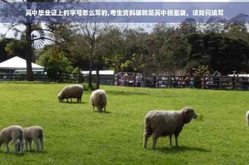 高中毕业证上的字号怎么写的,考生资料袋就是高中档案袋，该如何填写
