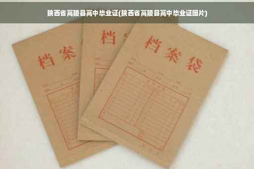 陕西省高陵县高中毕业证(陕西省高陵县高中毕业证图片)