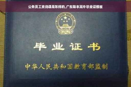 公务员工资待遇是怎样的,广东陆丰高中毕业证模板