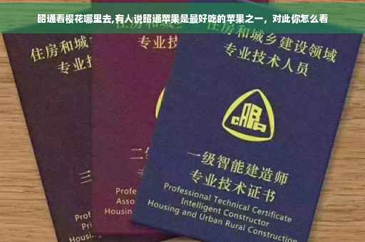 昭通看樱花哪里去,有人说昭通苹果是最好吃的苹果之一，对此你怎么看