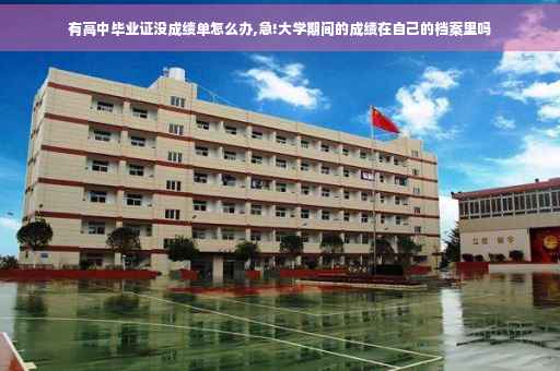 有高中毕业证没成绩单怎么办,急!大学期间的成绩在自己的档案里吗