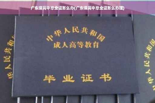 广东没高中毕业证怎么办(广东没高中毕业证怎么办理)
