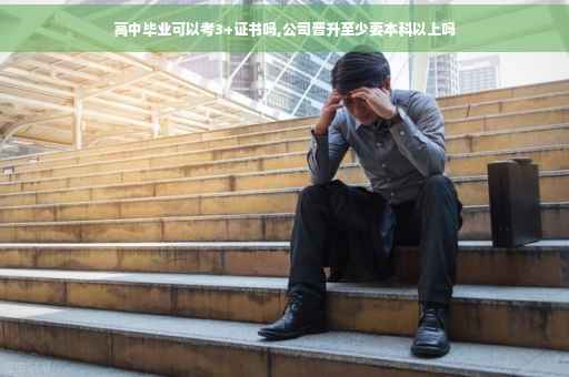 高中毕业可以考3+证书吗,公司晋升至少要本科以上吗